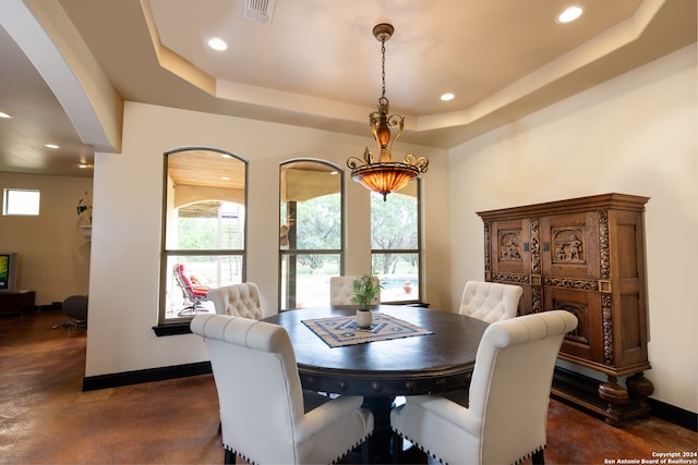 dining space featuring a tray ceiling and a healthy amount of sunlight