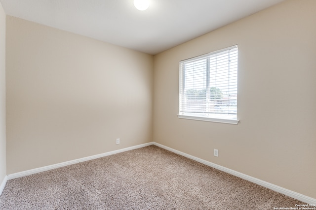 unfurnished room with carpet flooring