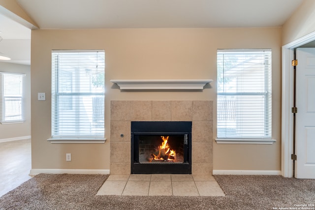 details featuring a fireplace and carpet