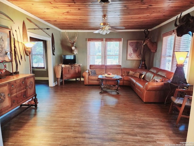 1801 3rd St, Floresville, TX 78114 - living room with ornamental molding, wood finished floors, healthy amount of natural light, ceiling fan, and wood ceiling