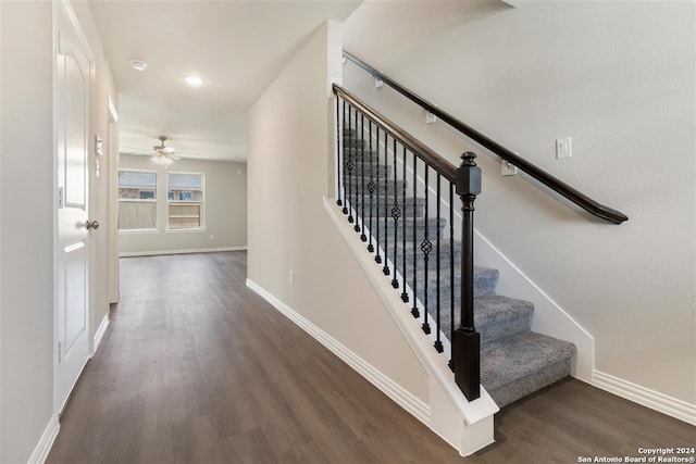 staircase featuring hardwood / wood-style floors and ceiling fan