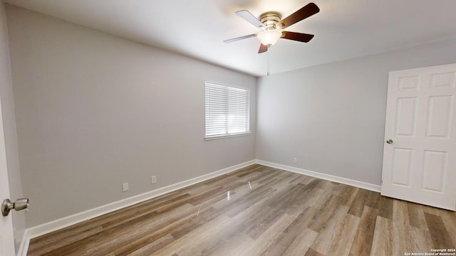 unfurnished room featuring light hardwood / wood-style floors and ceiling fan