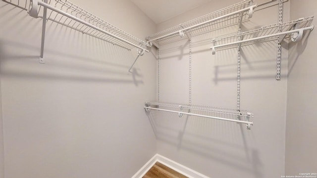 spacious closet with wood-type flooring