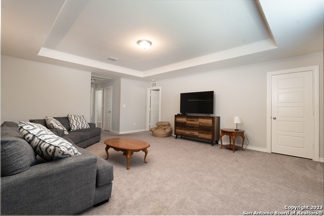 living room featuring a raised ceiling and carpet