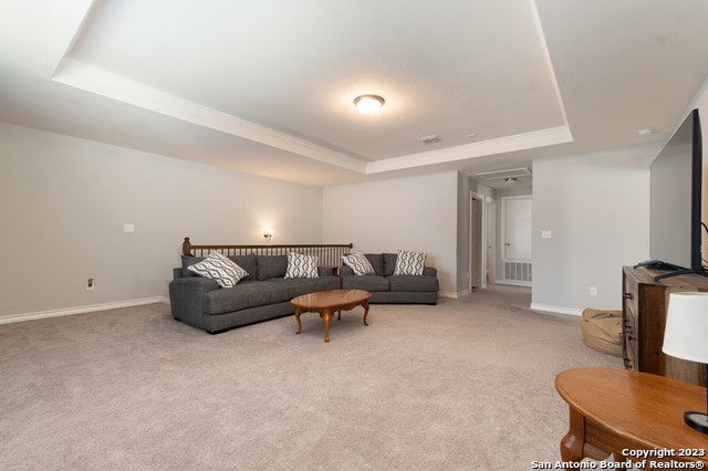 living room featuring a raised ceiling and light colored carpet