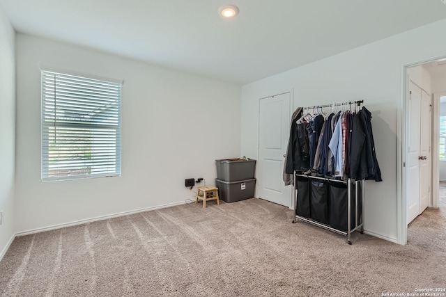 bedroom featuring carpet