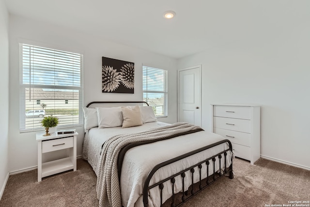 bedroom with multiple windows and carpet floors