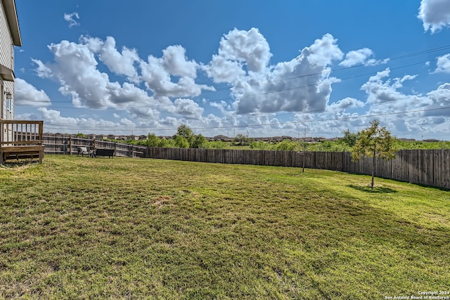 view of yard