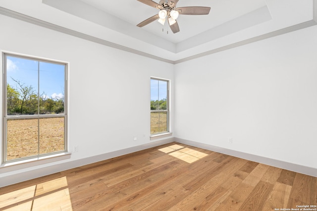 spare room with light wood-type flooring, a healthy amount of sunlight, and a tray ceiling