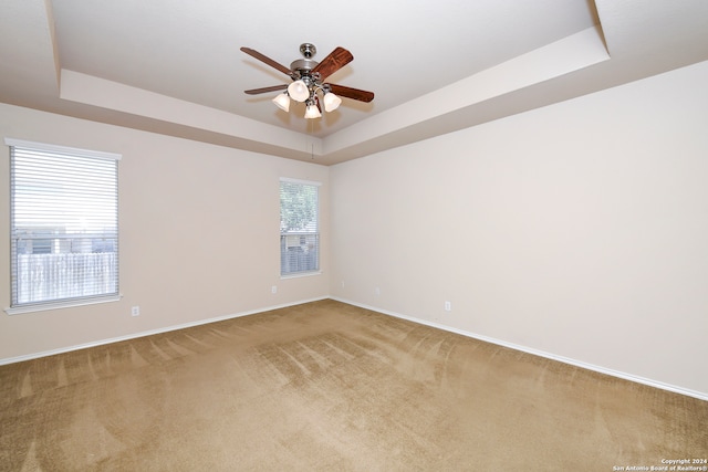 spare room with a raised ceiling, carpet flooring, and a healthy amount of sunlight