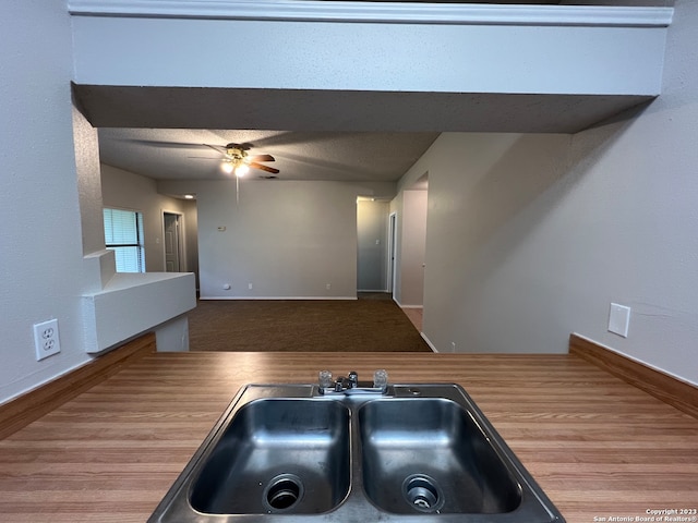 kitchen featuring hardwood / wood-style floors, sink, and ceiling fan