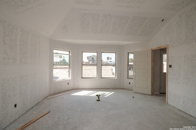 spare room with lofted ceiling