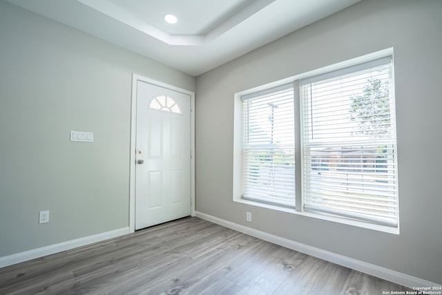 foyer featuring a raised ceiling and hardwood / wood-style floors