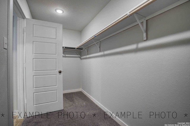 spacious closet featuring carpet flooring