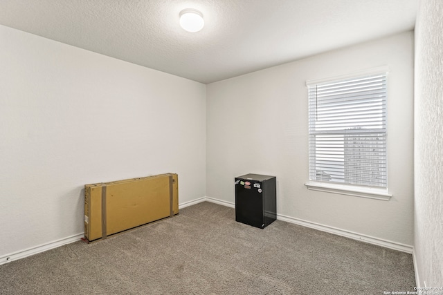 unfurnished room featuring carpet floors and a textured ceiling