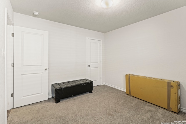 interior space with light colored carpet and a textured ceiling