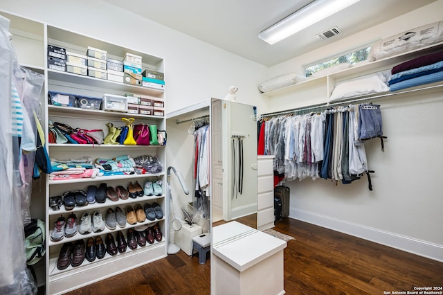 spacious closet featuring dark wood-type flooring