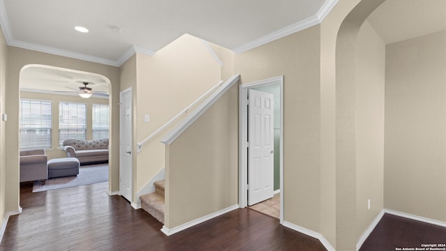 interior space featuring hardwood / wood-style flooring and crown molding