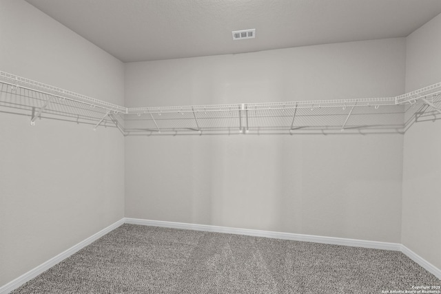 spacious closet featuring carpet