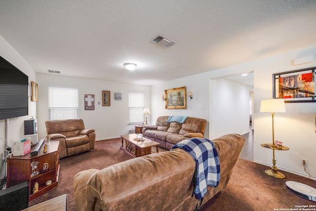 living room featuring dark colored carpet and a textured ceiling