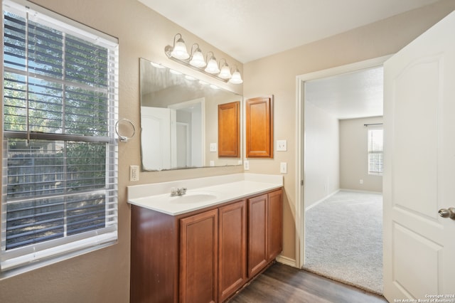 bathroom featuring vanity, wood-type flooring, and plenty of natural light