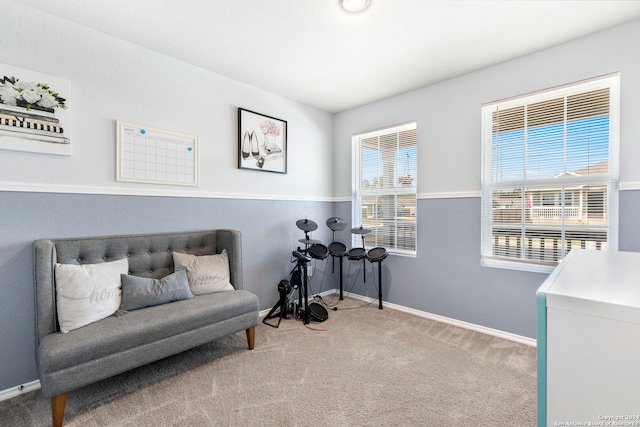 sitting room featuring carpet flooring