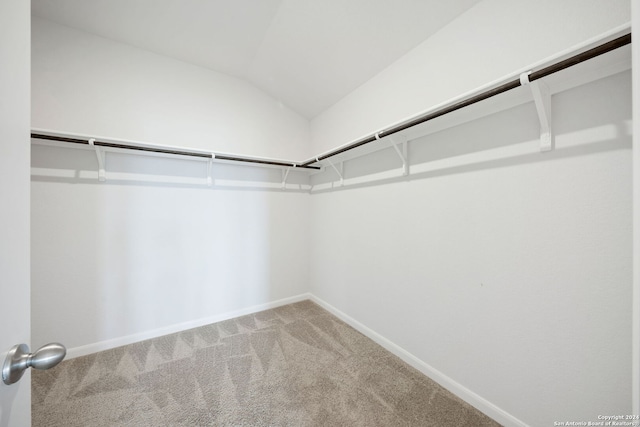 spacious closet featuring lofted ceiling and carpet flooring