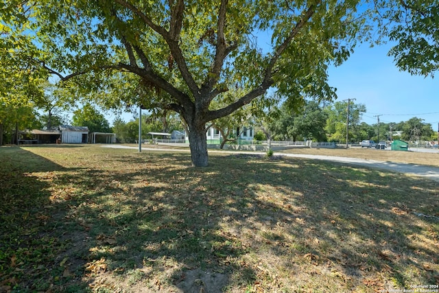 view of yard featuring a storage shed