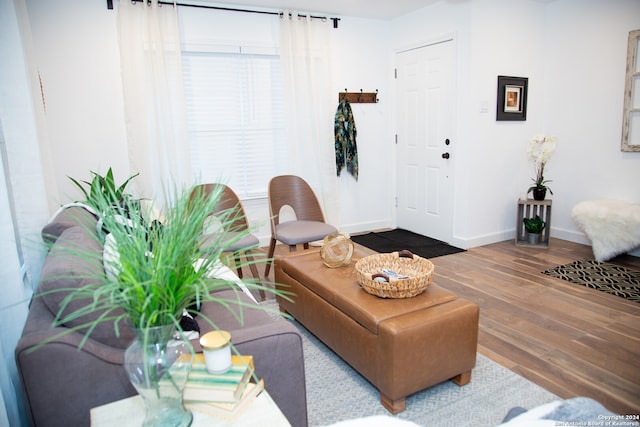 living room featuring hardwood / wood-style floors