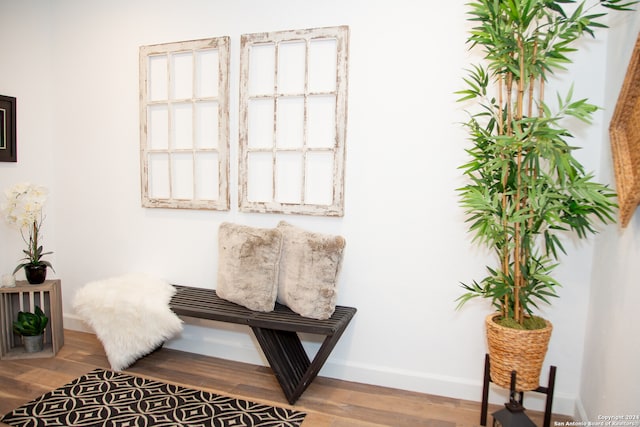 sitting room with hardwood / wood-style floors