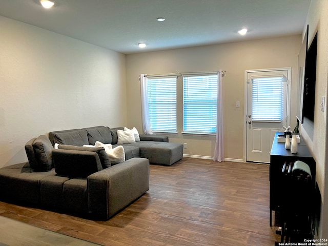 living room with wood-type flooring