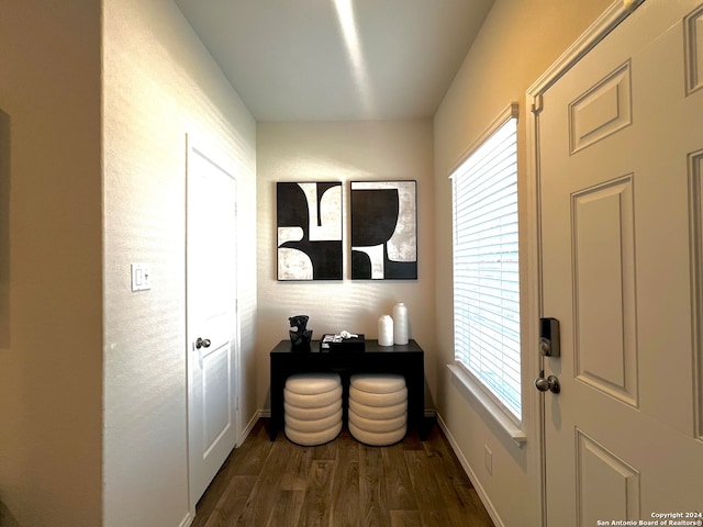 doorway with dark hardwood / wood-style floors