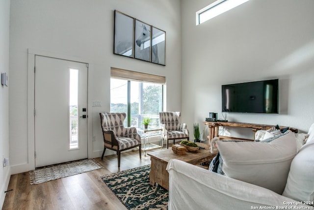 living room with light hardwood / wood-style floors, a towering ceiling, and plenty of natural light