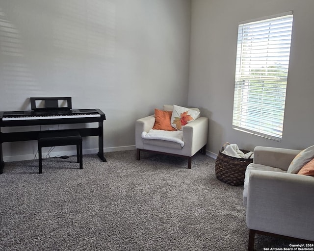 living area with carpet flooring