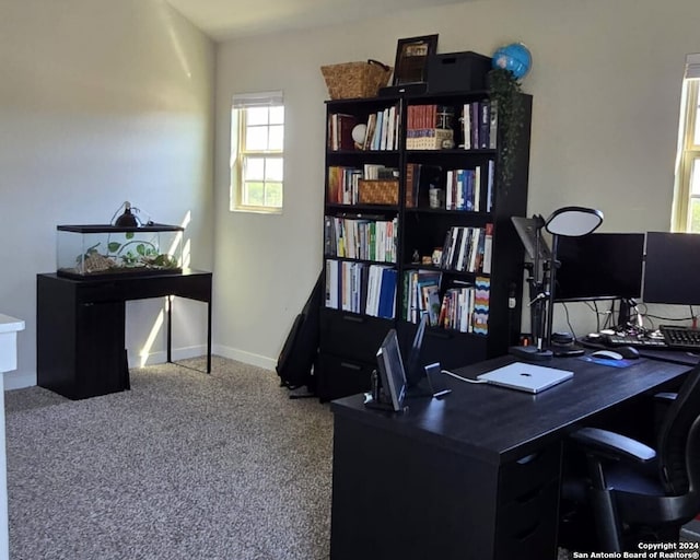 view of carpeted home office