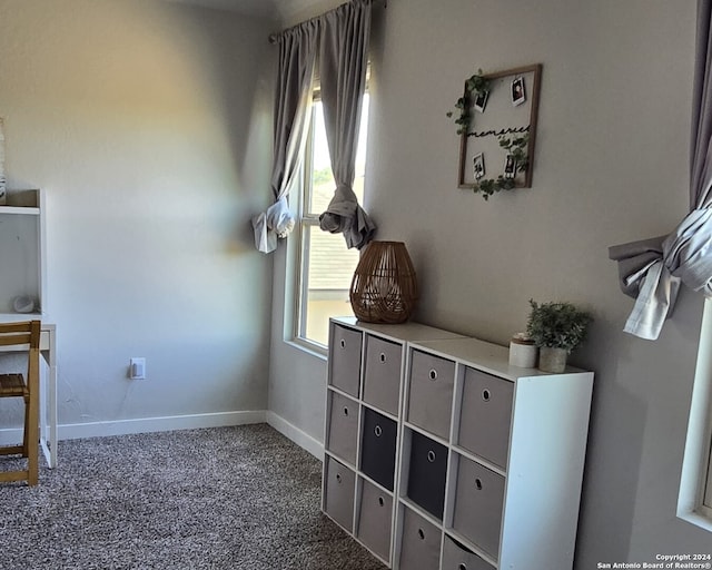 room details featuring carpet