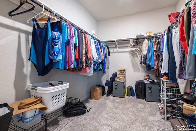 spacious closet with carpet flooring