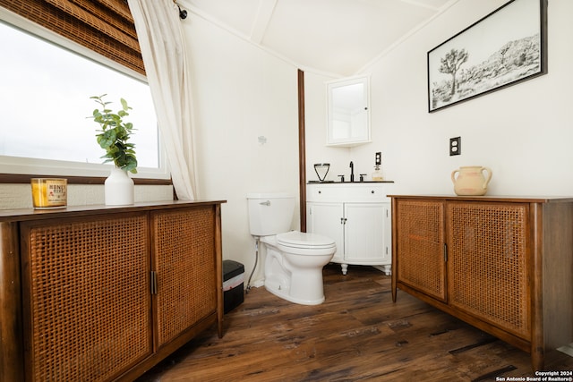 bathroom featuring hardwood / wood-style flooring, vanity, and toilet