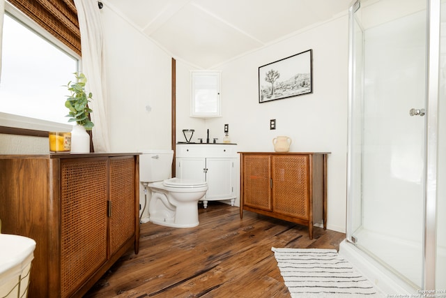 bathroom featuring wood-type flooring, vanity, a shower with shower door, and toilet