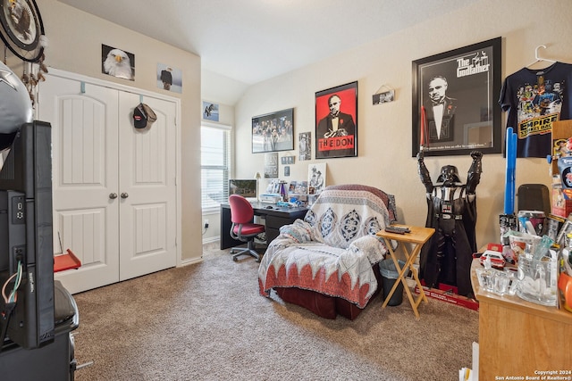 interior space featuring lofted ceiling and carpet floors