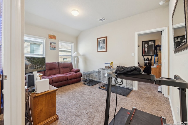 5018 Italica Rd, San Antonio, TX 78253 - living area featuring carpet floors, visible vents, and vaulted ceiling