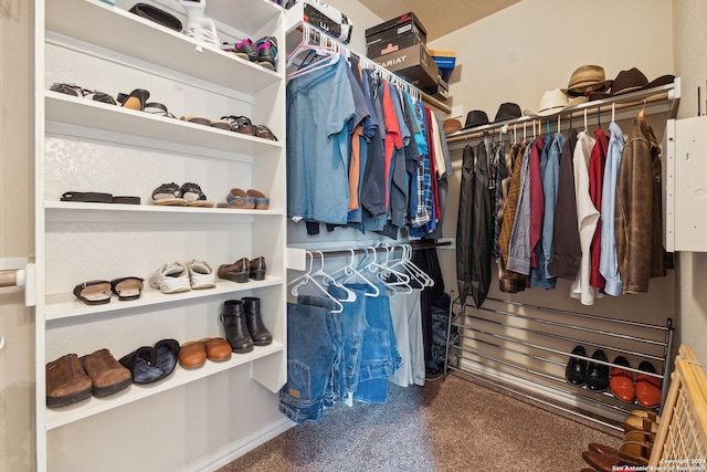 5018 Italica Rd, San Antonio, TX 78253 - view of walk in closet