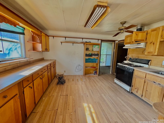 kitchen featuring ceiling fan, light hardwood / wood-style flooring, sink, and white range with gas cooktop