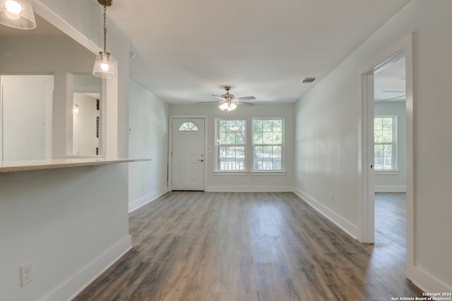 foyer featuring a healthy amount of sunlight, ceiling fan, and dark wood-type flooring