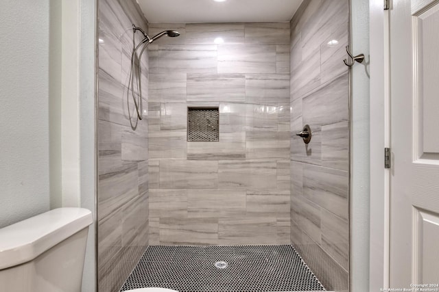 2293 W Mill St, New Braunfels, TX 78130 - bathroom featuring toilet and tiled shower