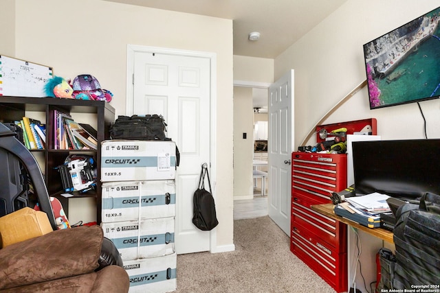 spacious closet featuring light colored carpet