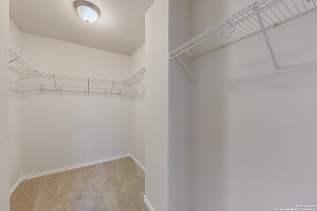 walk in closet featuring carpet floors