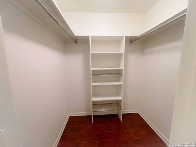 walk in closet with dark wood-type flooring