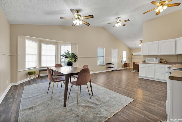 dining space with high vaulted ceiling, ceiling fan, dark hardwood / wood-style floors, and a textured ceiling