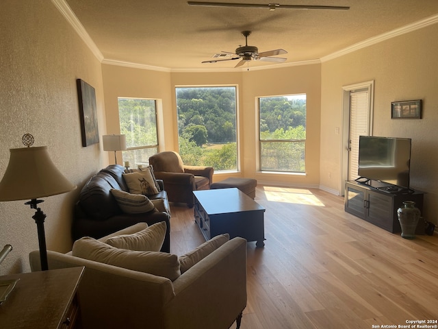 living room with ceiling fan, a textured ceiling, light hardwood / wood-style flooring, and ornamental molding